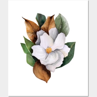 Magnolia with leaves Posters and Art